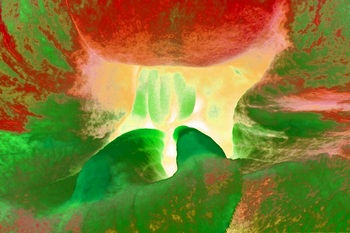 A 29C